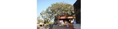 மோட்ஷ துவாரகை